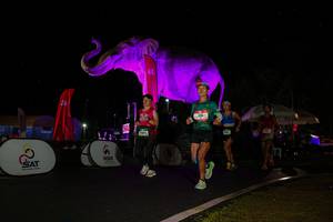 BIB: 
                            <button type="button" onclick="openModal(26543504)" class="btn btn-primary btn-sm float-right btn-popup" data-toggle="modal" data-target=".modal-high-quality">
                        <i class="fas fa-shopping-cart"></i> Add to Cart
                    </button>
                                            <button type="button" onclick="isThisMe(26543504, true)" class="btn btn-success btn-sm float-right btn-popup btn-isme hidden" data-toggle="tooltip" data-placement="bottom" title="นี่คือรูปของคุณใช่ไหม คลิกที่นี่เพื่อเอาเข้าอัลบั้ม">
                        <i class="fas fa-plus"></i> Add to album
                    </button>
                    <button type="button" onclick="isThisMe(26543504, false)" class="btn btn-warning btn-sm float-right btn-popup btn-isnotme hidden">
                        <i class="fas fa-ban"></i> Remove from album
                    </button>